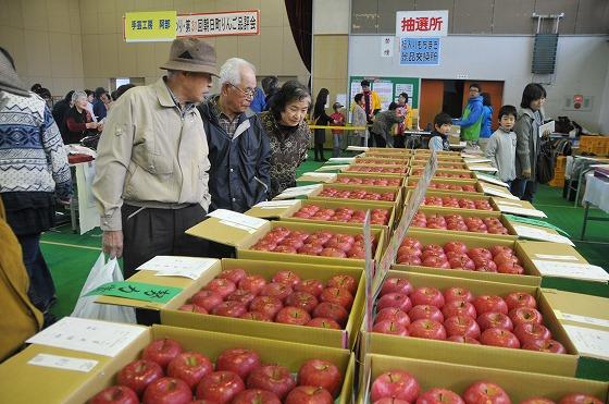 町民体育館に並んだ品評会のりんごの写真