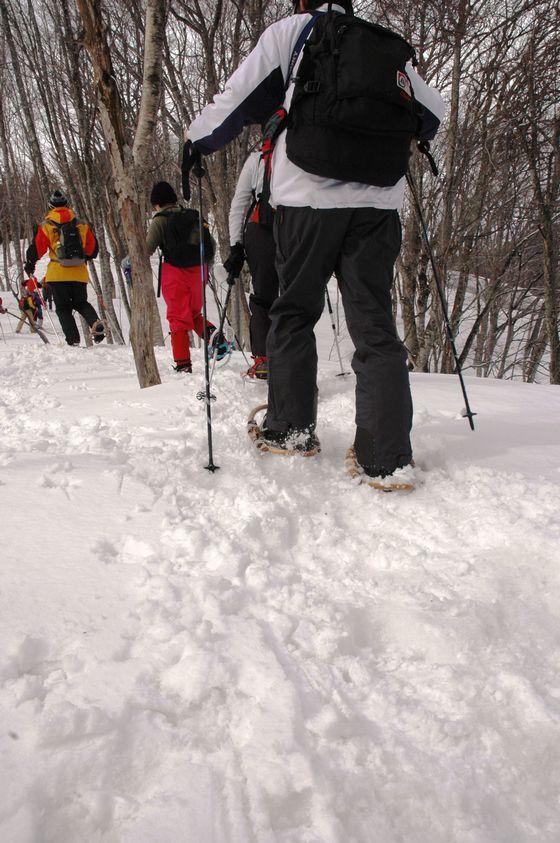 雪道を行く参加者の写真