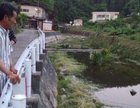 送橋川のいつもの様子の写真