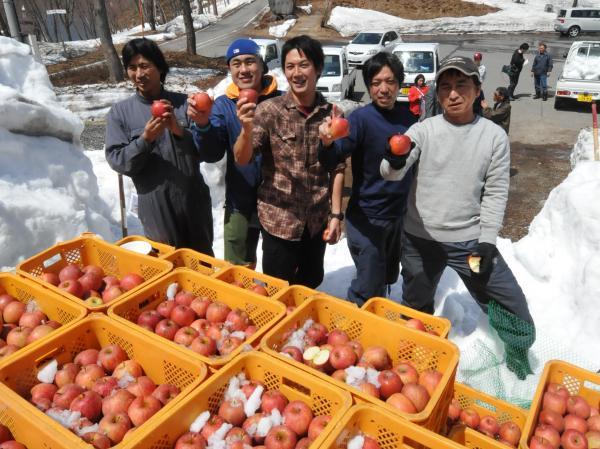 りんごとともに記念撮影する生産者の写真