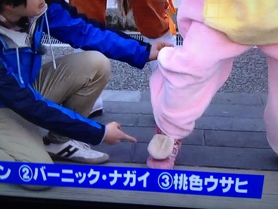 ウサヒ