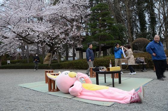ウサヒ