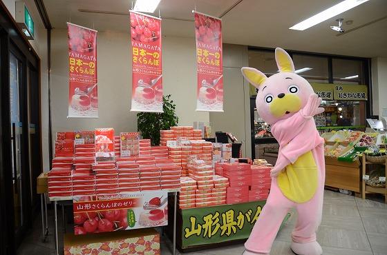 さくらんぼ ウサヒ