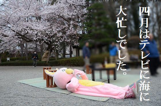 ウサヒ