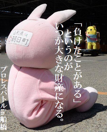 ウサヒ、プロレス、ふなっしー