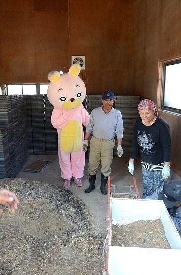 種まき