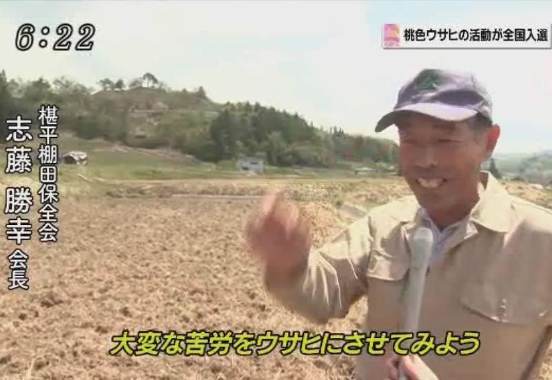 ウサヒ 苦労 棚田