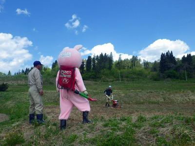 ウサヒ