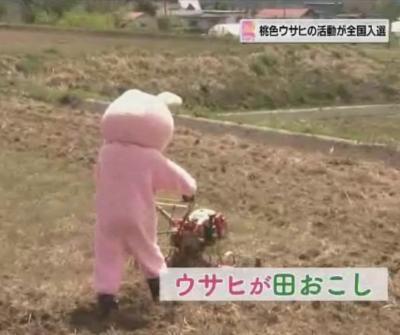 YBC ピヨ卵CMのウサヒ