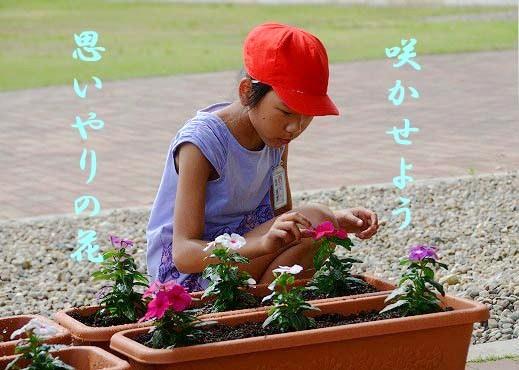 人権の花