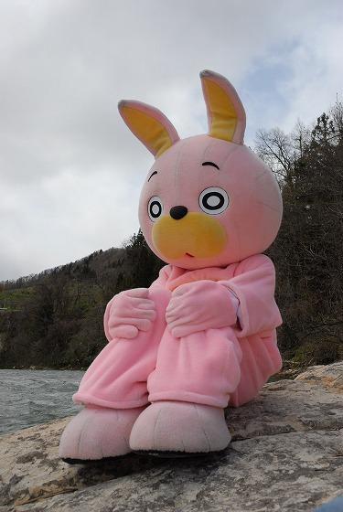 ウサヒ、カヌー
