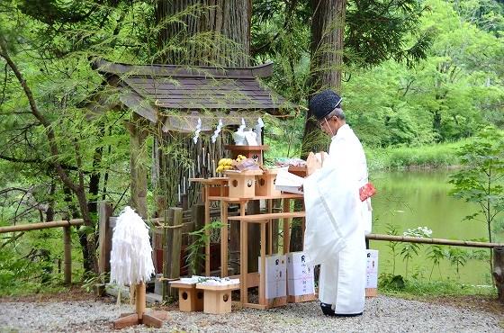 大行院、大沼の浮島、最上