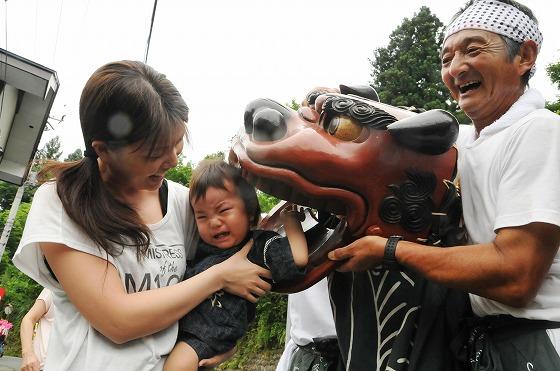 獅子に頭を噛んでもらう幼児の写真