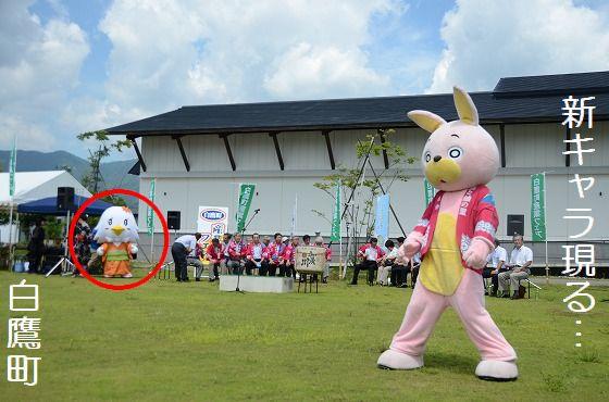 白鷹町、べにたかちゃん