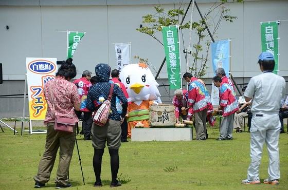 べにたかちゃん