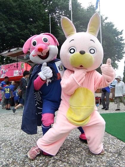 ぺっかくん