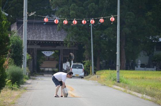 盛り砂を行っている写真