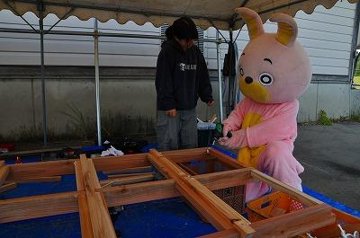 ウサヒ手伝う