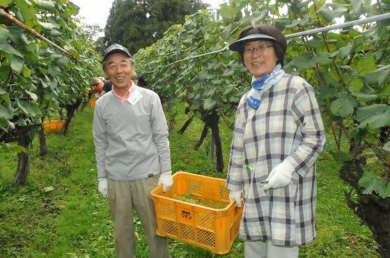 ぶどうをカゴに入れて二人で運んでいる様子の写真