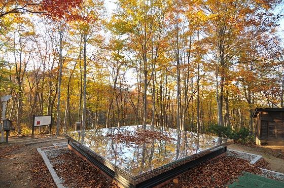 情緒的な晩秋の空気神社の様子の写真