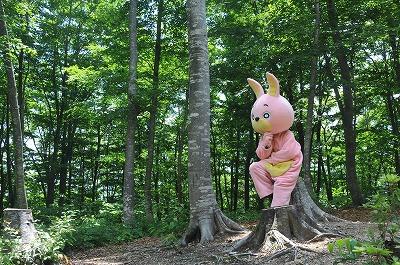 考えるウサヒの写真