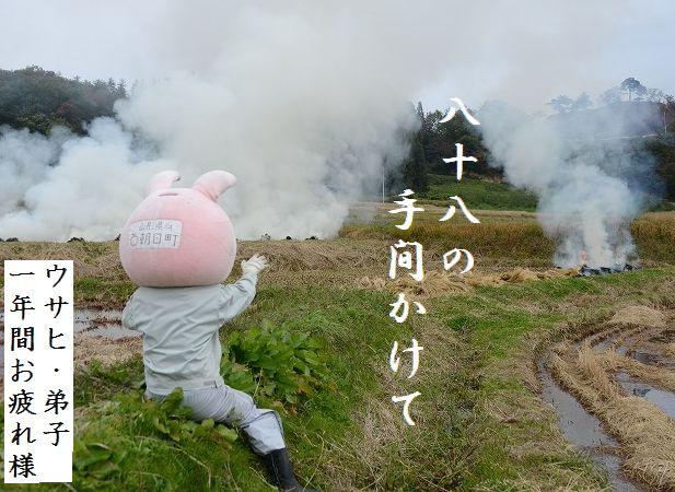 ウサヒ、弟子、米づくり、はえぬき、つや姫