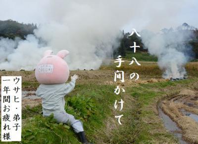 ウサヒ、ハーベスター、弟子、椹平の棚田