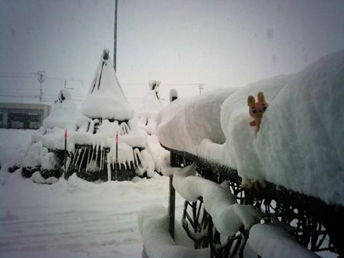 朝日町、雪、ウサヒ