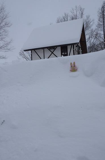 大雪、積もる