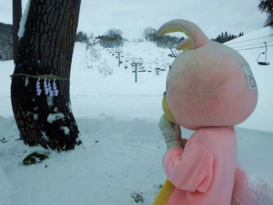 ウサヒ、安全祈願