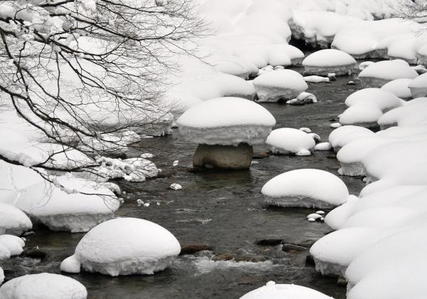 雪帽子の写真6