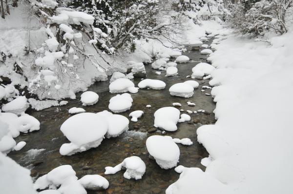 雪帽子の写真7