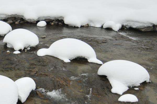 雪帽子の写真4