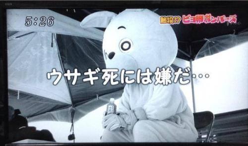 ウサヒ、ウサギ死に