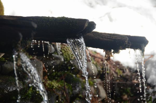 地下水が流れ出る五本樋の写真