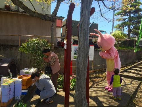 ウサヒ