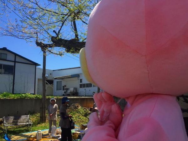 ウサヒ、酒を飲む