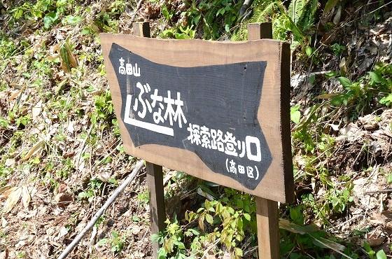 高田地区