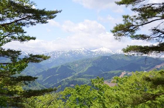 高田地区