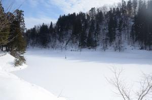 雪で一面真っ白になる、木々に囲まれた春日沼の写真