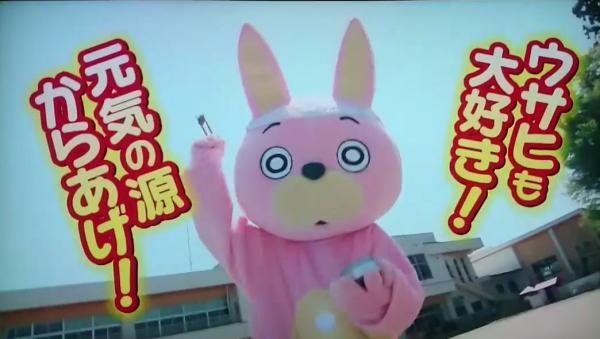 ウサヒ、日本食研のCMに出演