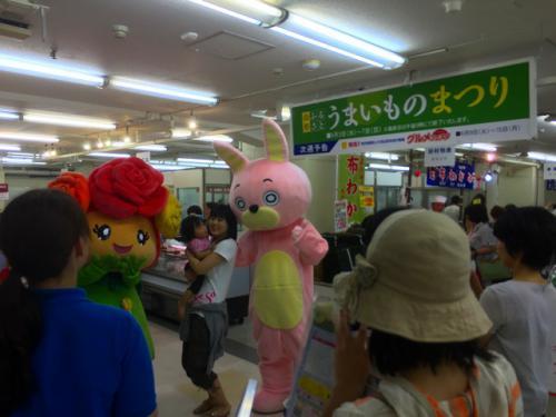 バラの花のようなムララ