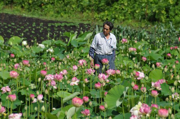 花を見守る渡辺勝美さんの写真