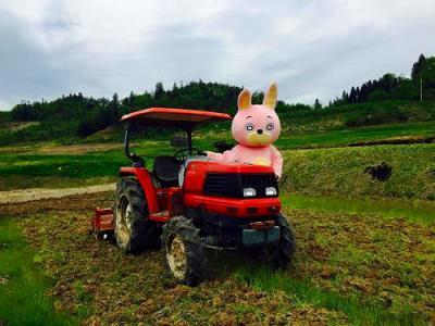 田おこし