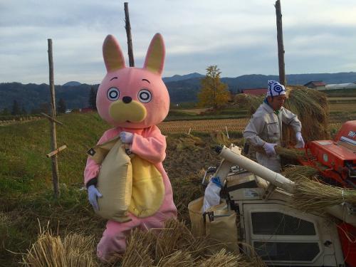 収穫ウサヒ