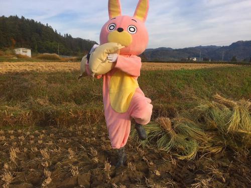 収穫ウサヒ2