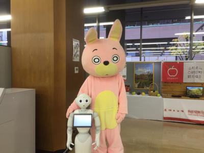 ペッパー君とウサヒの写真