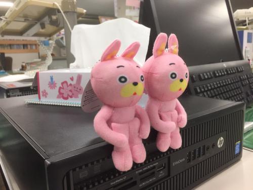 8センチのウサヒ