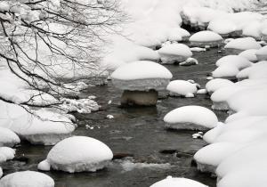 白い茸の様に雪が覆いかぶさった石の写真