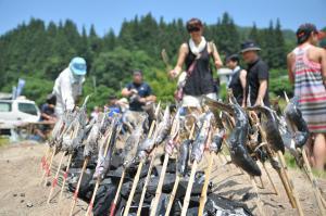 渓流魚を炭焼きしている写真